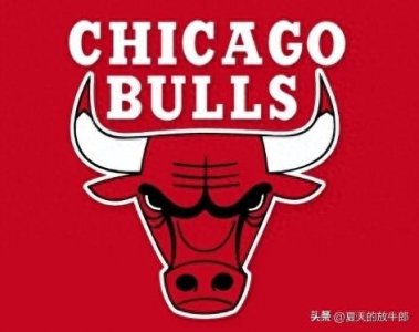 ​NBA30支球队历史之芝加哥公牛队