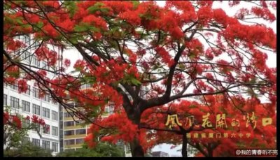 ​“感恩有你，让我们快乐歌唱，无忧成长”——厦门六中表彰2019年度厦门六中