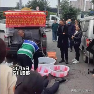 ​后续，成都鱼贩持剪刀对峙城管，知情人：摆摊旁边就是斑马线！
