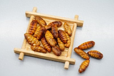 ​国内这五种昆虫，也能成为饭桌上的美食！你敢挑战吗？