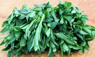 ​养心菜夏天你吃过吗？简单一做，清香可口，营养美味又养生