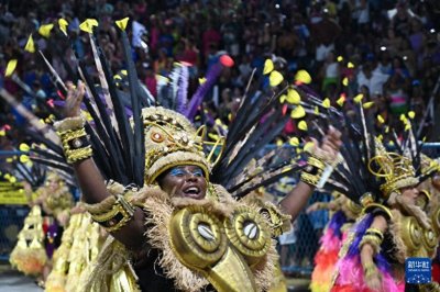 ​巴西里约狂欢节精彩纷呈