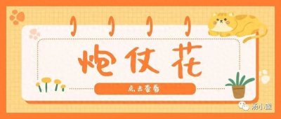 ​炮仗花：又称炮仗藤