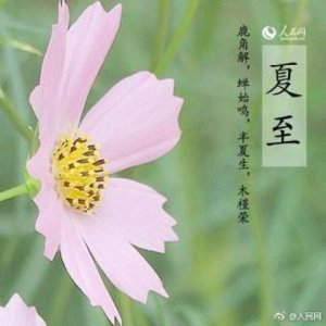 ​抖音里伤感的个性签名句子