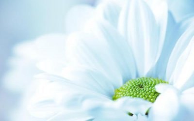 ​离别的意义伤感句子