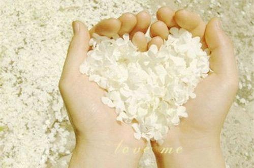 表达颓废的伤感句子