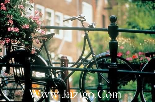 比喻对婚姻生活心寒的伤感心情语句精选(精选55句)