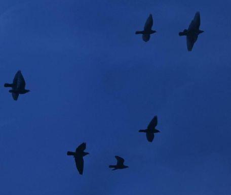 十一月你好伤感句子