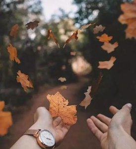 ​一句可以打动人心的话 最能打动人心的额话100句都是哪些？