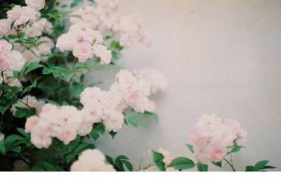 刚分手时发的句子