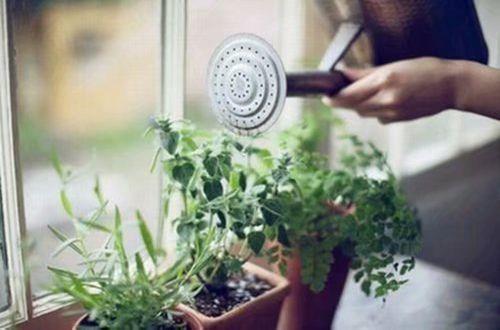 告白失败后的伤感句子 看着你甜美的笑容，我情不自禁的笑了