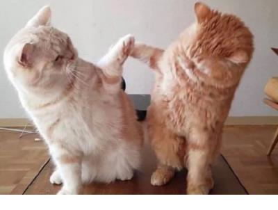 男生伤心伤感说说