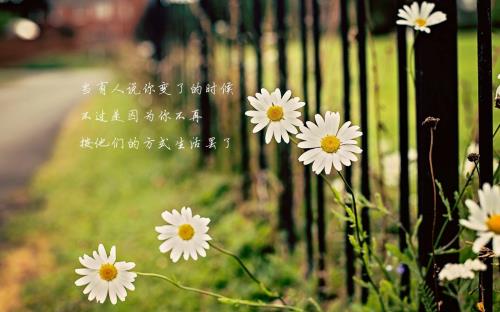 最让人心疼的伤感语录