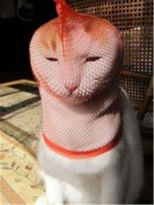 唯美伤感的句子让人心疼