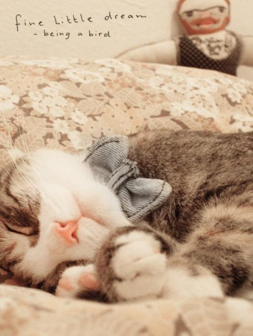 想你是甜蜜的忧伤短信