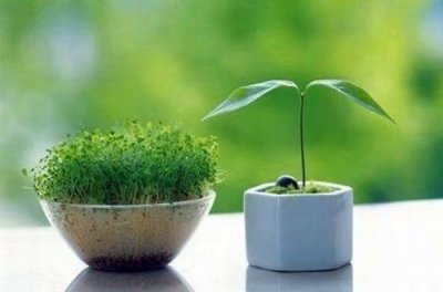 ​qq最伤感的说说