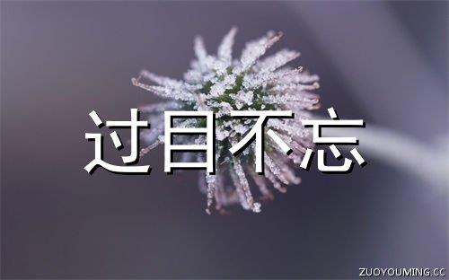 2015年qq最伤感的说说