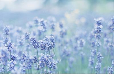 朋友之间现实又很扎心的句子