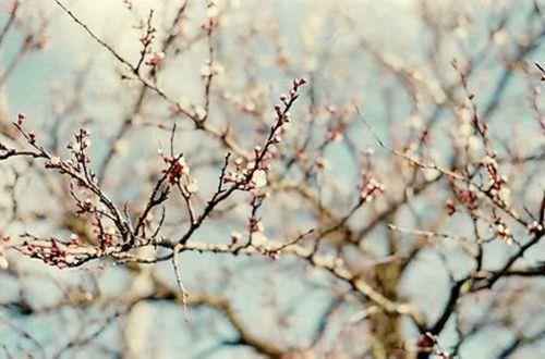 2025年简单的生活伤感句子36条