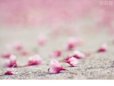 毕业分手朋友圈文案