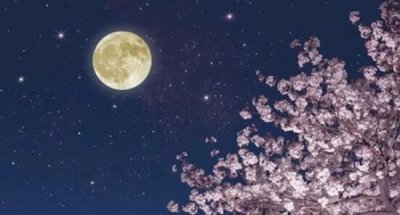 ​中秋伤感的句子 一个人在外想家的句子