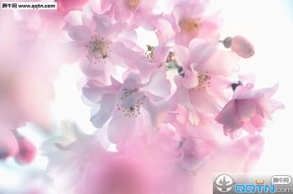 分手后的话还爱着的话