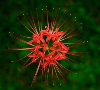 ​毕业留言唯美句子古风（伤感留言句子）