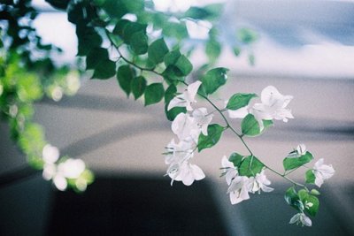 ​伤感哀悼的短信29句