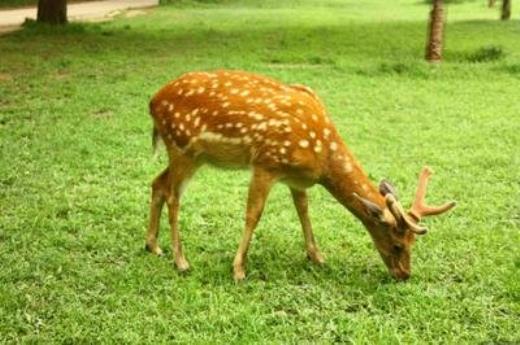 男人让女人心寒的句子