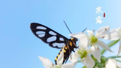 ​分手后让对方心痛的话 伤感心碎的句子 情感语录短句