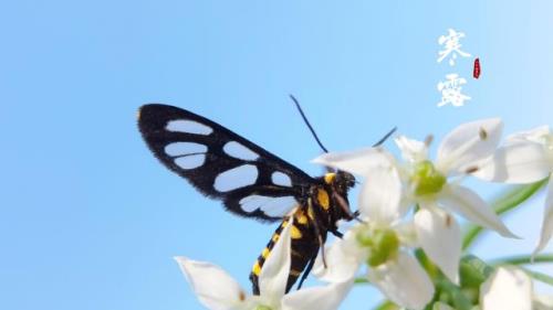 分手后让对方心痛的话