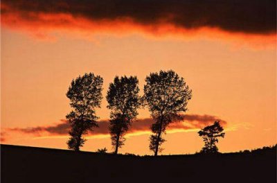 ​伤感惆怅的句子