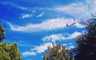 ​老鸟家园的悲伤qq空间说说（24句空间伤感说说短句）