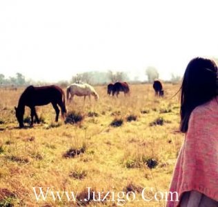 ​扎心伤感的句子