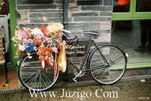 唯美的句子短的伤感雪景句子唯美简短伤感(精选70句)