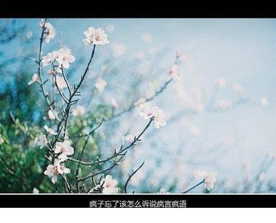 舍不得分手的伤感说说心情短语