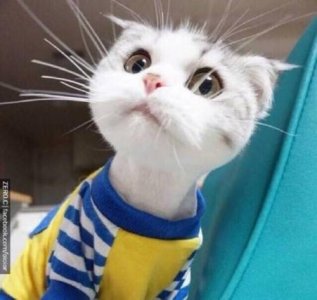 简洁的伤感句子摘录30条