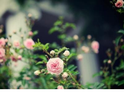 抖音上的扎心句子