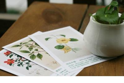 抖音上最火的短句子