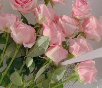 ​90后女生伤感说说语录