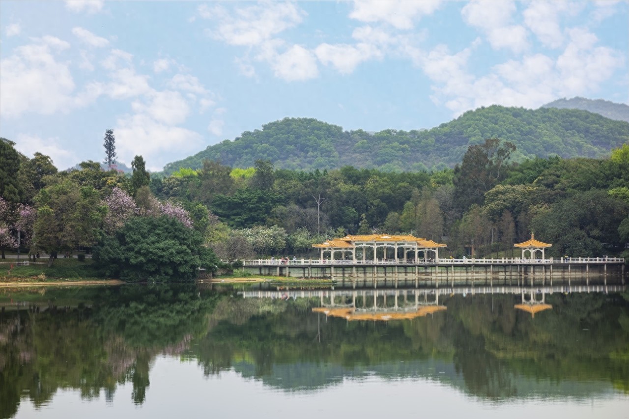 麓湖公园位于广州市越秀区，白云山风景名胜区南端