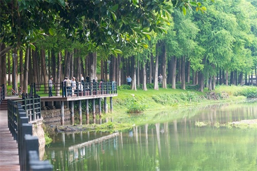 麓湖公园位于广州市越秀区，白云山风景名胜区南端
