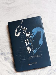 ​沙陀，我国历史上一个少数民族，建立了四个政权，来揭秘它的历史