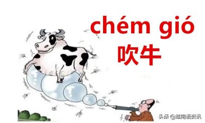 ​越南人常用日常口语——中越文对照，越南新闻互译