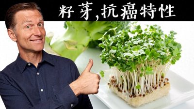 ​十字花科蔬菜的健康益处：科学解读与食用指南