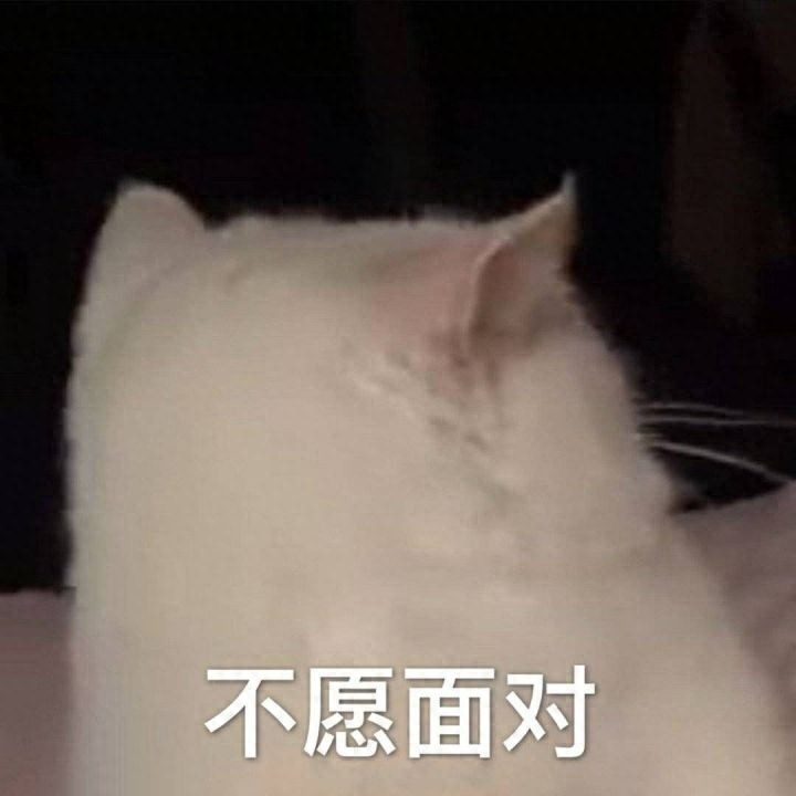 搞笑可爱表情图｜专业按摩来一套