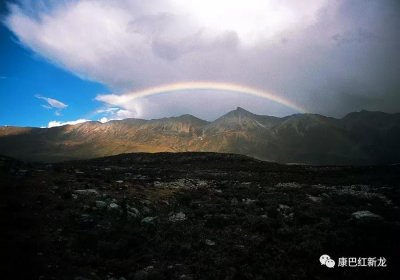 ​千百年间，你不知道的新龙！