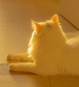 ​黑化，是性格与人性的剧变，12星座成长的特殊通道（上）