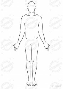 ​分享一些人体运动解剖图谱