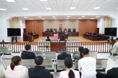 ​女子持有罂粟种子非法种植，检方依法提起公诉